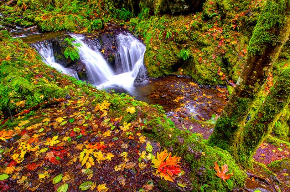 Oregon falls by Charles Knowles